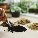 Benefici del compost per il terreno