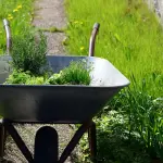 Come proteggere il terreno dall’erosione