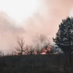 Veneto, scatta lo stato di grave pericolosità per gli incendi boschivi