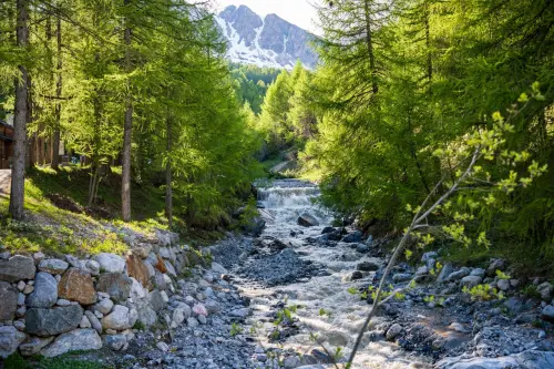 Provincia di Brescia, concorso per Funzionario Ambientale