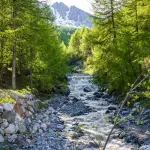 Provincia di Brescia, concorso per Funzionario Ambientale