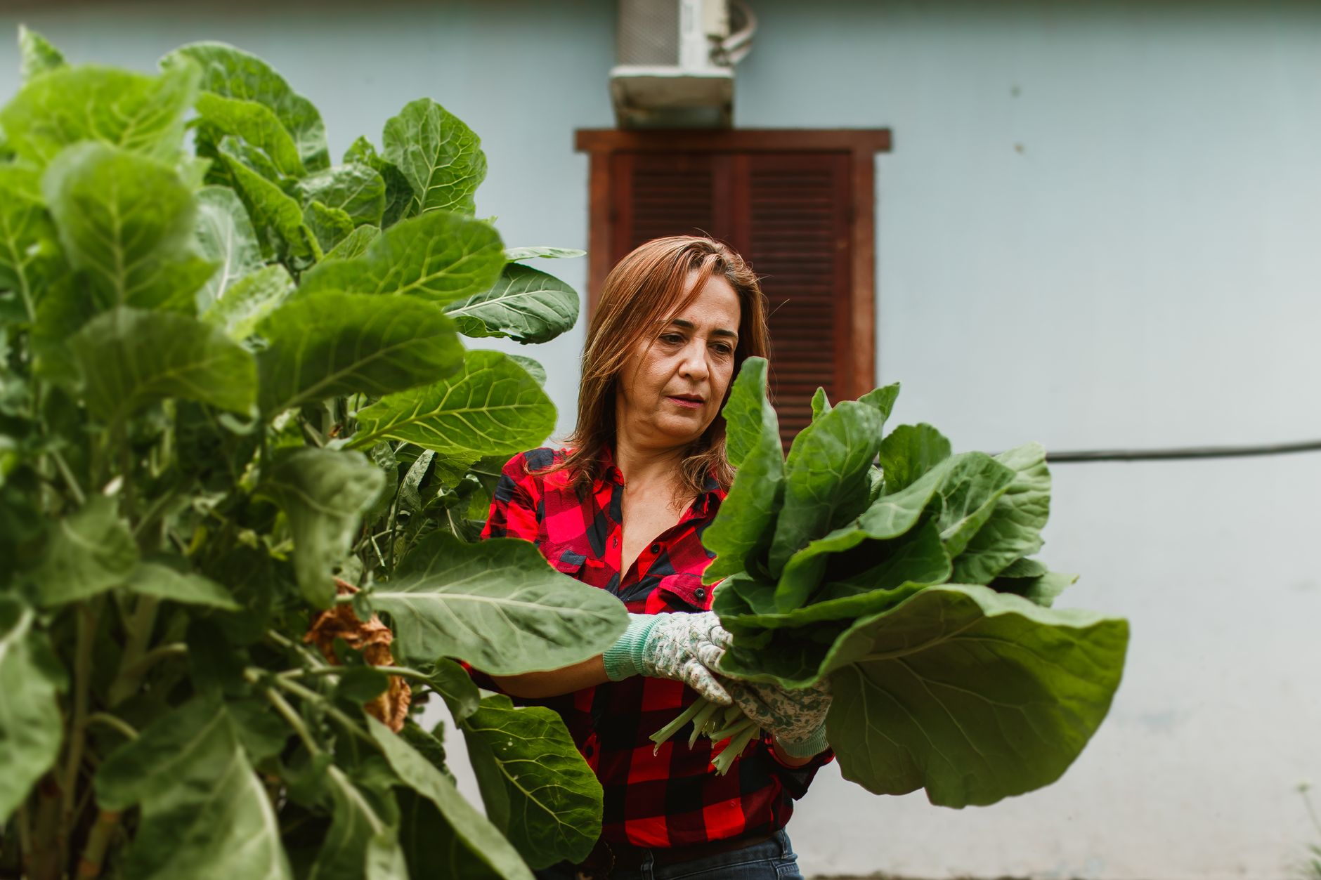 Concesio, Matt The Farmer racconta Stato Brado in EDM