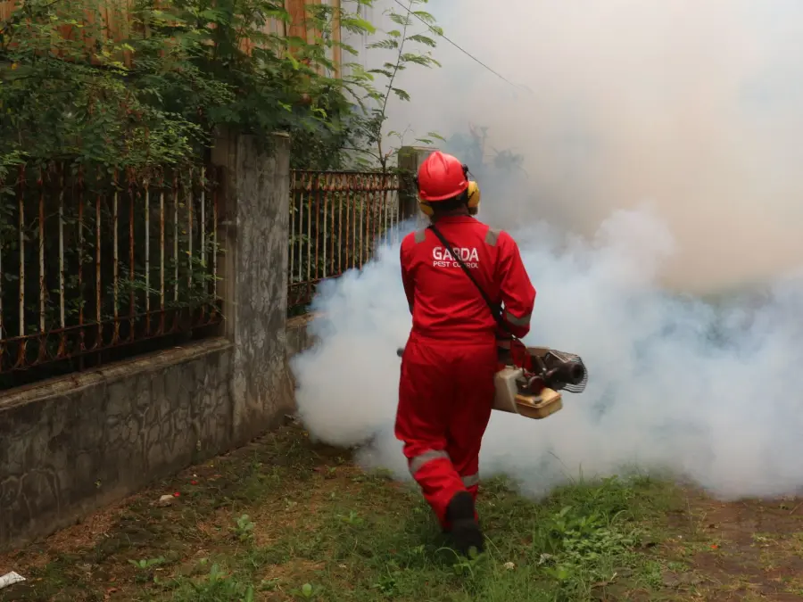 Brescia, sospetto caso Dengue: disinfestazione in via Passo Aprica