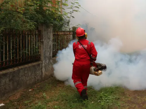 Brescia, sospetto caso Dengue: disinfestazione in via Passo Aprica