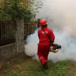 Brescia, sospetto caso Dengue: disinfestazione in via Passo Aprica