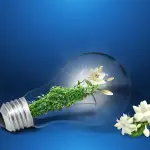 Sustainable Solutions Match 2026, opportunità europea per le imprese venete sulla sostenibilità